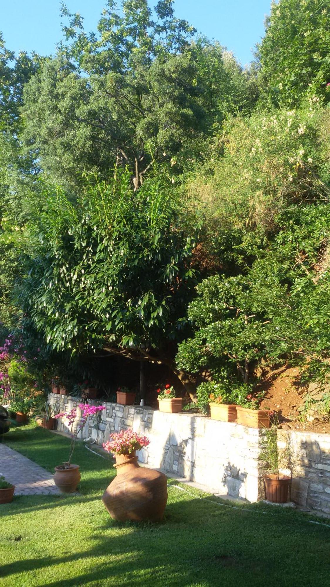 Villa Dimitra Skala Potamia  Exterior photo